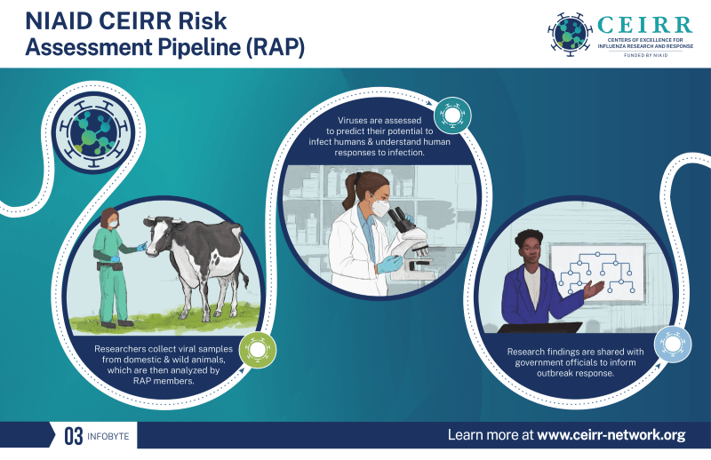 NIAID CEIRR Risk Assessment Pipeline (RAP)